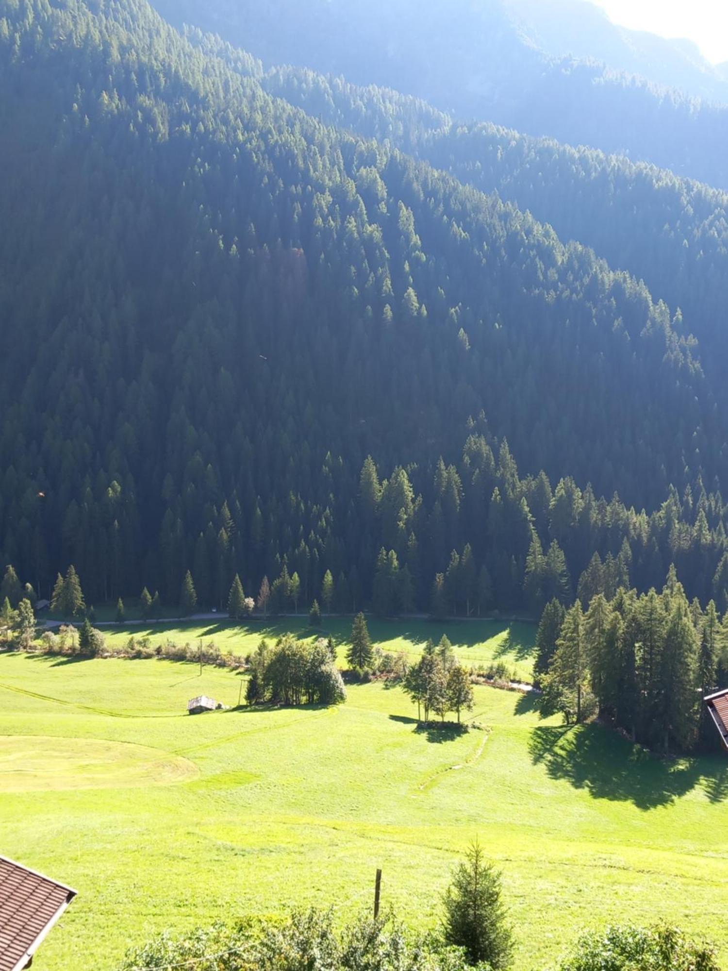 Gasthof Innerwalten San Leonardo in Passiria Luaran gambar